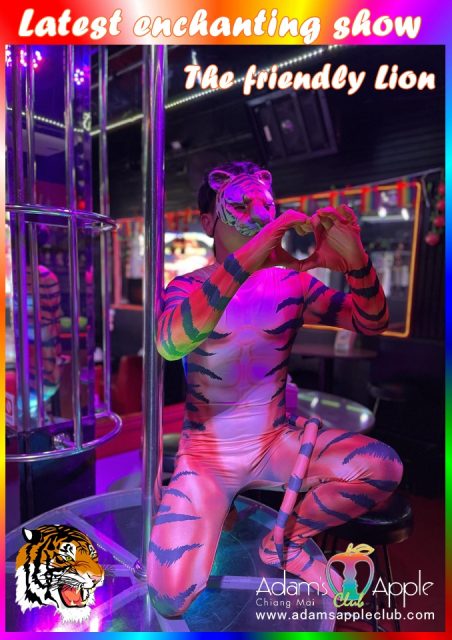 The friendly Lion Adams Apple Club presents different Shows every night live shows with excellent performers and an incredibly cool costumes
