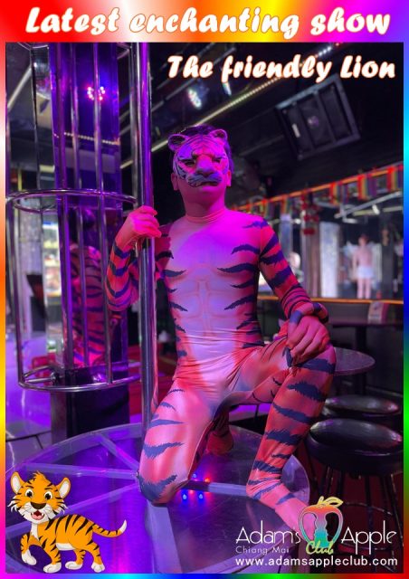 The friendly Lion Adams Apple Club presents different Shows every night live shows with excellent performers and an incredibly cool costumes