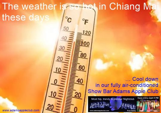 Hot in Chiang Mai cool down in Adams Apple Club in our fully air-conditioned Show Bar. You deserve such a relaxing and cozy evening!