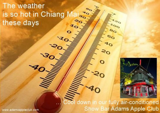 Hot in Chiang Mai cool down in Adams Apple Club in our fully air-conditioned Show Bar. You deserve such a relaxing and cozy evening!