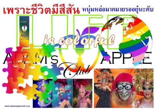 LIFE in Chiang Mai is colorful Adams Apple Nightclub. Our fun-loving venue that attracts a mixed crowd of straight and gay guests.