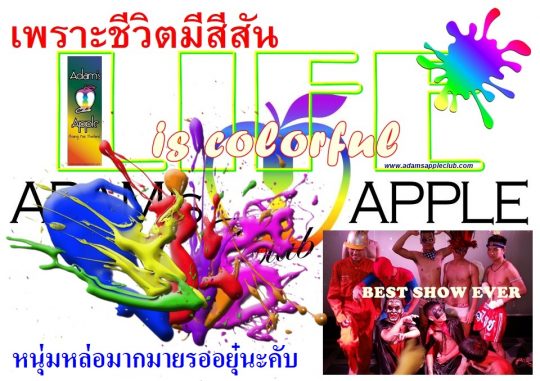 LIFE in Chiang Mai is colorful Adams Apple Nightclub. Our fun-loving venue that attracts a mixed crowd of straight and gay guests.