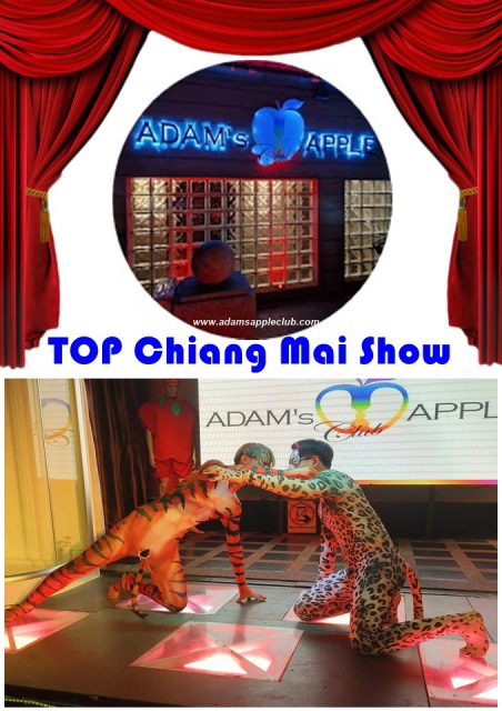 TOP Chiang Mai Show at Adams Apple Nightclub - Celebrate spectacular shows with us. We offer a fascinating show every night 10 PM