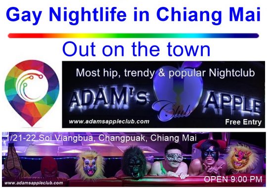 Out on the town Immerse yourself in the gay nightlife in Chiang Mai and let yourself be enchanted by the live show in Adams Apple Club