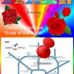 Famous Rose of the North Chiang Mai Northern Thailand, you should not miss to visit Santitham, we recommend Adams Apple Club
