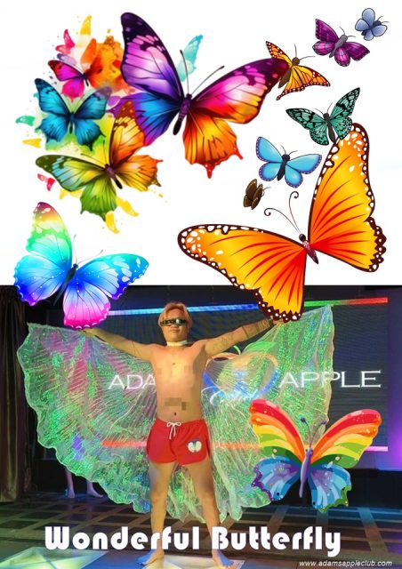 Wonderful Butterfly Adams Apple Club Chiang Mai Gay Bar - Let yourself be enchanted by our wonderful butterfly