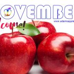 Welcome NOVEMBER 2024 - We wish our friends all over the world a nice month of NOVEMBER and look forward to your visit to our Nightclub.