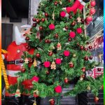 Christmas tree 2024 Adams Apple Club in Chiang Mai. We wish everyone a peaceful and blessed Advent season 2024