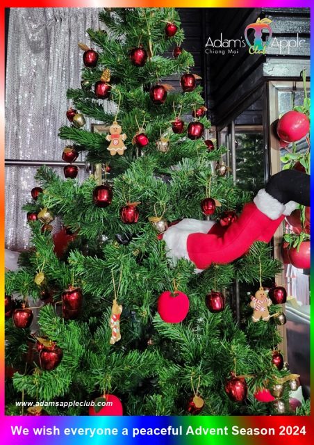 Christmas tree 2024 Adams Apple Club in Chiang Mai. We wish everyone a peaceful and blessed Advent season 2024