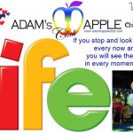 You should look forward - Let's celebrate LIFE together in our trendy venue, Adams Apple Club in Chiang Mai.