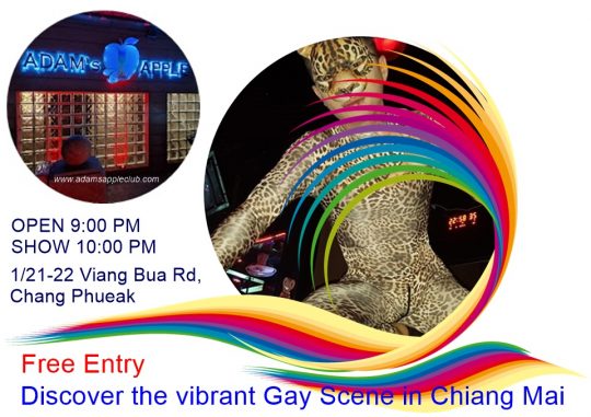 Vibrant Gay Scene Chiang Mai 2025 … at Adams Apple Club LGBT Venue the legendary gay friendly Hangout for adult Entertainment