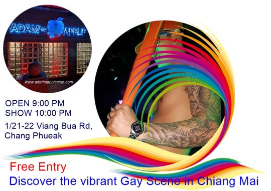 Vibrant Gay Scene Chiang Mai 2025 … at Adams Apple Club LGBT Venue the legendary gay friendly Hangout for adult Entertainment