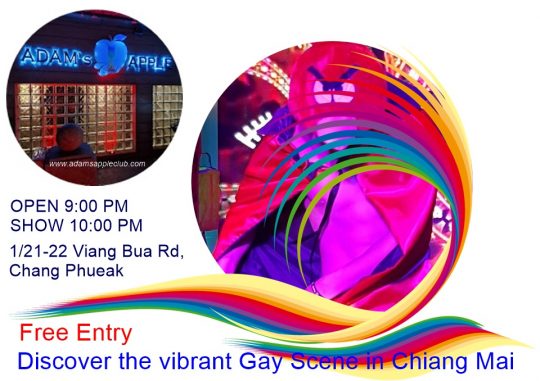 Vibrant Gay Scene Chiang Mai 2025 … at Adams Apple Club LGBT Venue the legendary gay friendly Hangout for adult Entertainment
