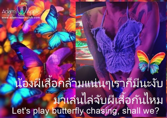 Catch strong butterflies at Adams Apple Club Chiang Mai. We have muscle butterflies too. Let's play butterfly chasing, shall we?
