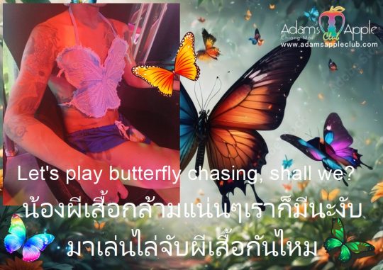 Catch strong butterflies at Adams Apple Club Chiang Mai. We have muscle butterflies too. Let's play butterfly chasing, shall we?