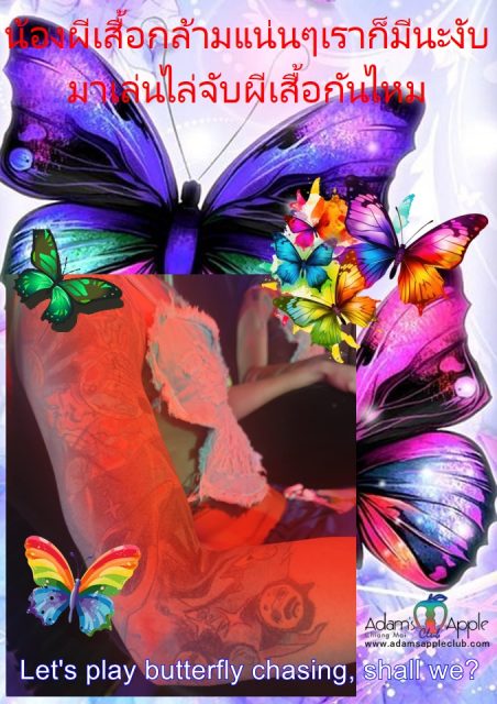 Catch strong butterflies at Adams Apple Club Chiang Mai. We have muscle butterflies too. Let's play butterfly chasing, shall we?