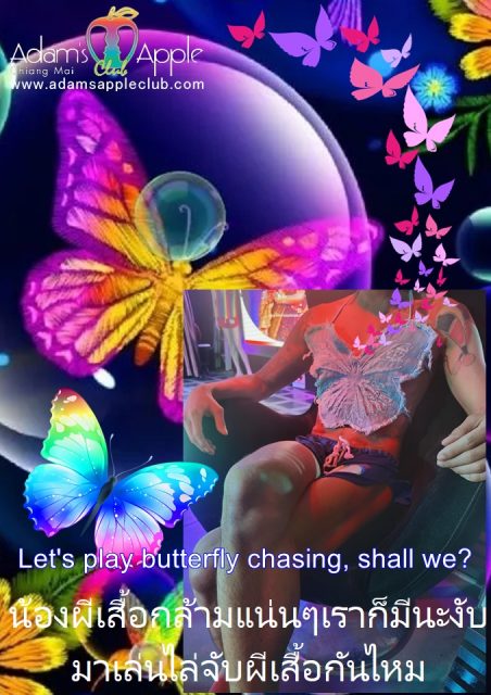 Catch strong butterflies at Adams Apple Club Chiang Mai. We have muscle butterflies too. Let's play butterfly chasing, shall we?