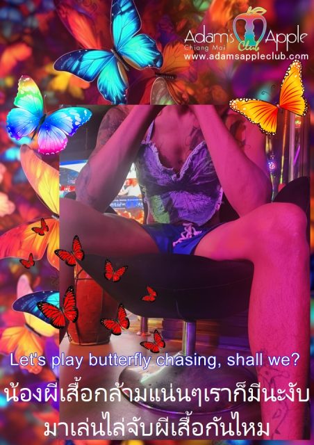 Catch strong butterflies at Adams Apple Club Chiang Mai. We have muscle butterflies too. Let's play butterfly chasing, shall we?