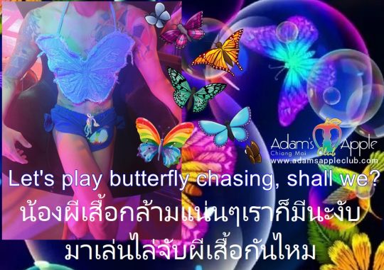 Catch strong butterflies at Adams Apple Club Chiang Mai. We have muscle butterflies too. Let's play butterfly chasing, shall we?