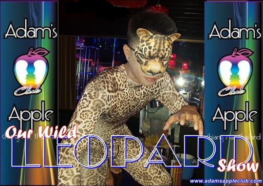 Leopard Show Chiang Mai Adams Apple Club Chiang Mai. Everyone who attended Adams Apple Club had a lot of fun and laughed a lot.