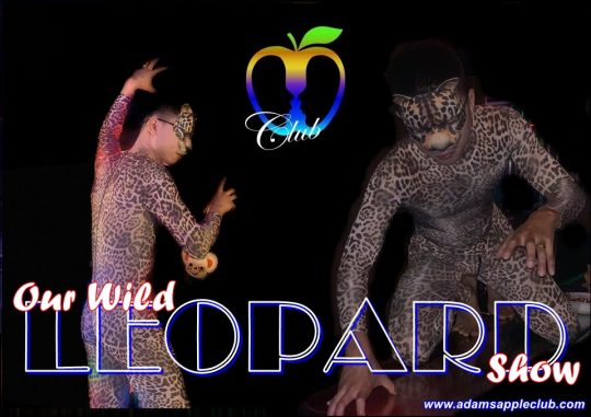 Leopard Show Chiang Mai Adams Apple Club Chiang Mai. Everyone who attended Adams Apple Club had a lot of fun and laughed a lot.