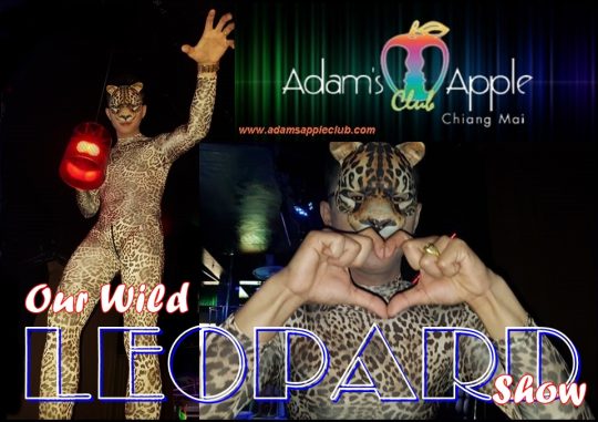 Leopard Show Chiang Mai Adams Apple Club Chiang Mai. Everyone who attended Adams Apple Club had a lot of fun and laughed a lot.