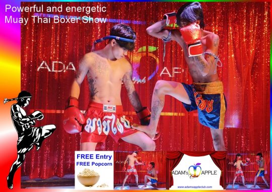 MUAY THAI Chiang Mai powerful and energetic Show. Dive into a World of Colorful Shows and join us every night for entertainment.