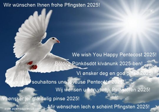 Happy Pentecost 2025 Chiang Mai … Sunday, June 8th, 2025. We invite you to celebrate Pentecost 2025 with us on Pentecost Sunday,