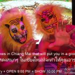 Fun Shows in Chiang Mai Adams Apple Club is an absolute must when visiting Chiang Mai. Fun Shows that will put you in a good mood
