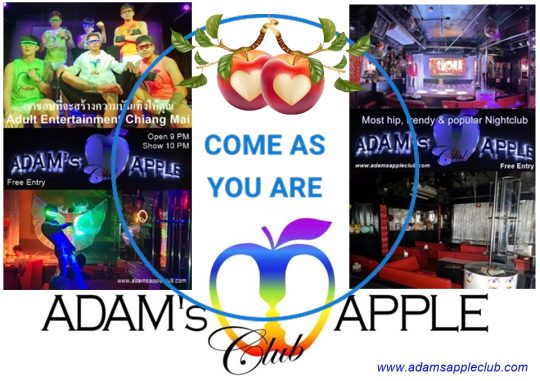 Come as You Are to the most well-known Chiang Mai Gay Bar. The most well-known Chiang Mai Gay Bar in 2025 is still the Adam's Apple Club