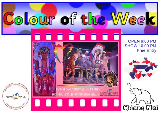Our show is as colorful as the colors of the week To see the best shows of Chiang Mai, you must visit the fantastic Adam's Apple Club.
