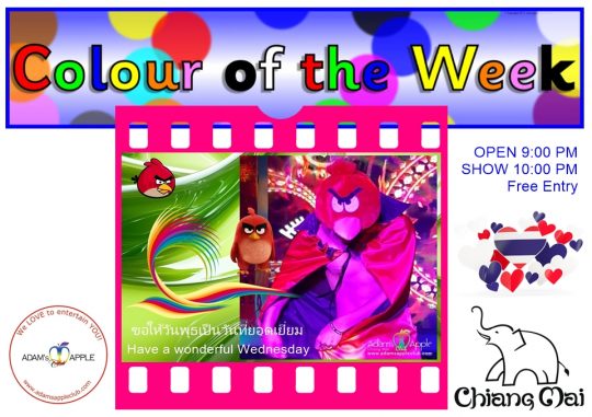 Our show is as colorful as the colors of the week To see the best shows of Chiang Mai, you must visit the fantastic Adam's Apple Club.