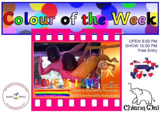 Our show is as colorful as the colors of the week To see the best shows of Chiang Mai, you must visit the fantastic Adam's Apple Club.