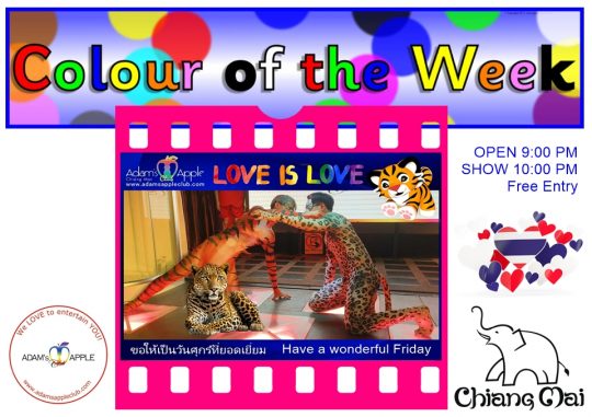 Our show is as colorful as the colors of the week To see the best shows of Chiang Mai, you must visit the fantastic Adam's Apple Club.