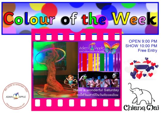 Our show is as colorful as the colors of the week To see the best shows of Chiang Mai, you must visit the fantastic Adam's Apple Club.