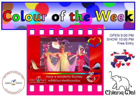 Our show is as colorful as the colors of the week To see the best shows of Chiang Mai, you must visit the fantastic Adam's Apple Club.