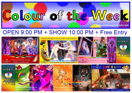 Our show is as colorful as the colors of the week To see the best shows of Chiang Mai, you must visit the fantastic Adam's Apple Club.