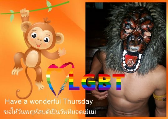 This much fun can only be found in the legendary gay bar Adams Apple Club Chiang Mai is a guarantee for endless fun.