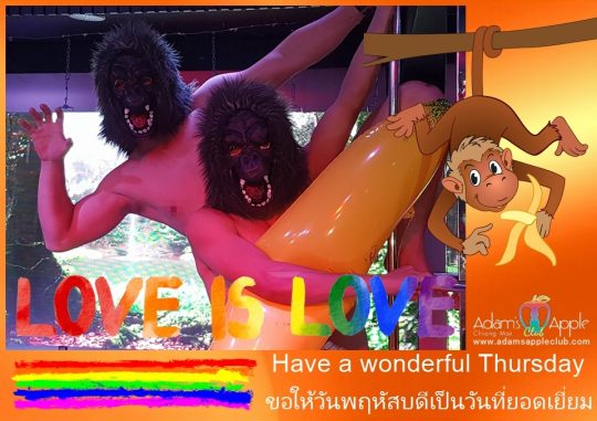 This much fun can only be found in the legendary gay bar Adams Apple Club Chiang Mai is a guarantee for endless fun.