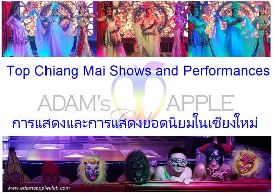 Top Chiang Mai Shows and Performances at Adam's Apple Club. To see the best shows, you must visit the fantastic Adam's Apple Club.