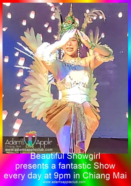 Beautiful Showgirl Chiang Mai Adams Apple Club. Known globally for its reputation as the best Showgirl Cabaret Show in Chiang Mai.