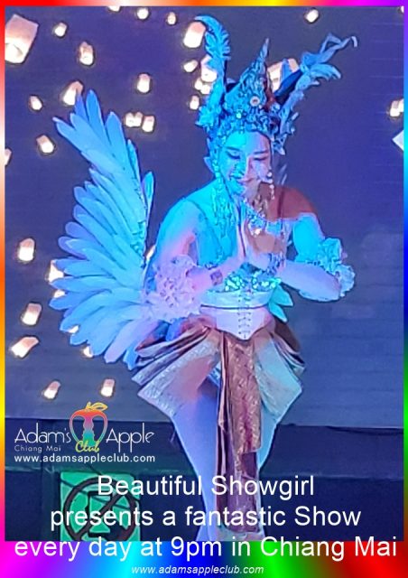 Beautiful Showgirl Chiang Mai Adams Apple Club. Known globally for its reputation as the best Showgirl Cabaret Show in Chiang Mai.
