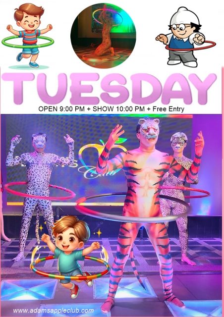 Chiangmai Tuesday Evening Activities at Adams Apple Club, you can expect a legendary cabaret and exotic show, a mixed and welcoming crowd