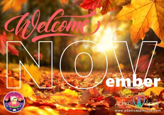 Welcome November 2025 at Adam's Apple Club Chiang Mai! October is ending with a bang, and we're excited to kick off November