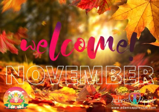 Welcome November 2025 at Adam's Apple Club Chiang Mai! October is ending with a bang, and we're excited to kick off November