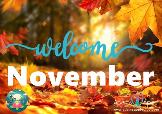 Welcome November 2025 at Adam's Apple Club Chiang Mai! October is ending with a bang, and we're excited to kick off November
