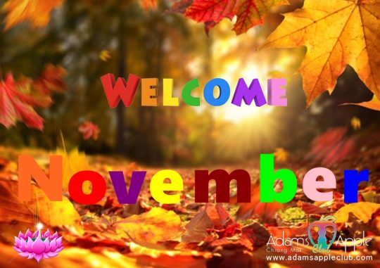 Welcome November 2025 at Adam's Apple Club Chiang Mai! October is ending with a bang, and we're excited to kick off November