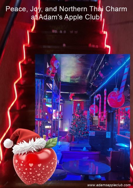 The pre-Christmas season is sparkling at Adams Apple Club in Chiang Mai! Peace, Joy, and Northern Thai Charm at Adam's Apple Club!