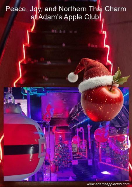 The pre-Christmas season is sparkling at Adams Apple Club in Chiang Mai! Peace, Joy, and Northern Thai Charm at Adam's Apple Club!