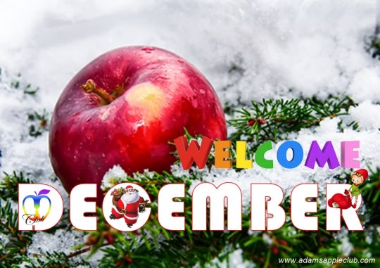 Welcome to December 2025 at Adam's Apple Club Chiang Mai, gets busy during peak season, so plan your activities and reservations in advance!